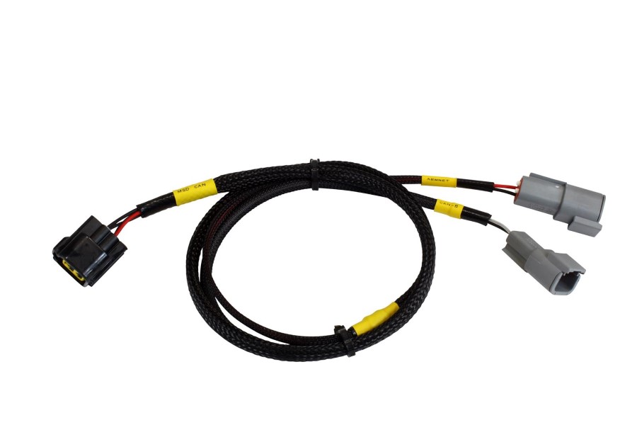 AEM CD-7/CD-7L Adapter Cable