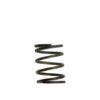 Turbosmart Gen4 / IWG WG38/40/45/50L 5PSI INNER SPRING - BROWN/GREY