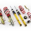 MTS Coilover Suspension Street Gold - Mazda 2 (DY) (02/03 - 06/07)